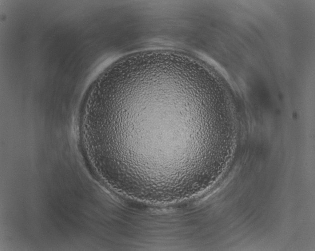 X0000051251415200506241535