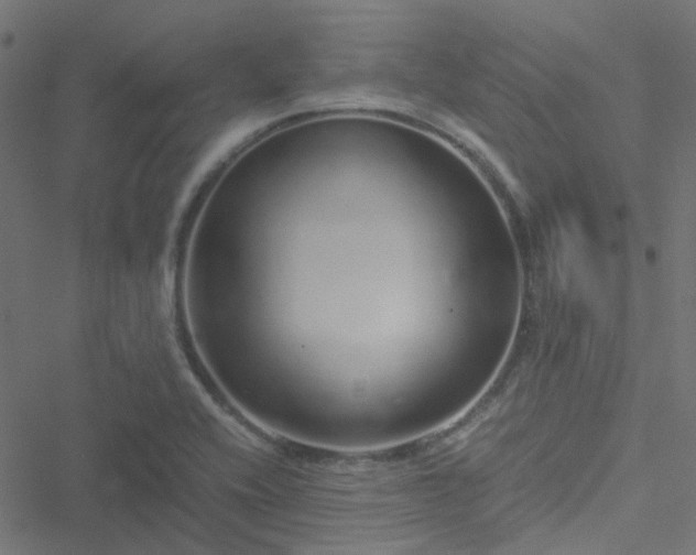 X0000051251416200506241535