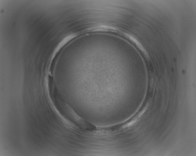 X0000051251418200506241535