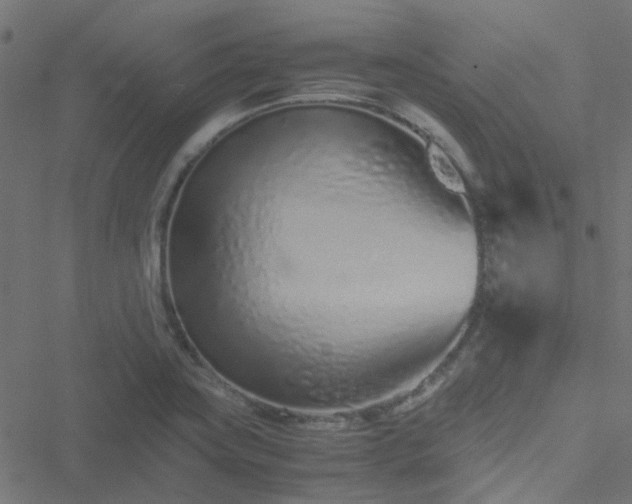 X0000051251419200506241535