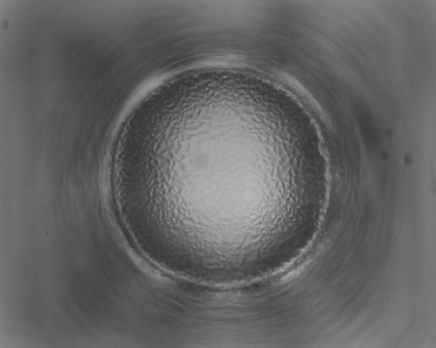 X0000051251421200506241535