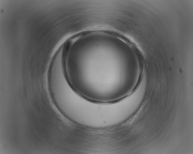 X0000051251422200506241535