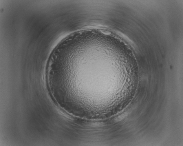 X0000051251423200506241535