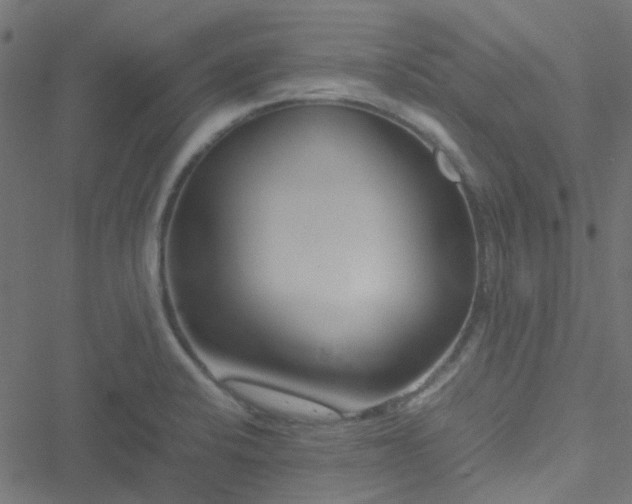 X0000051251424200506241535