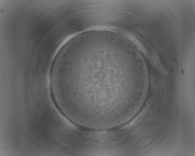 X0000051251428200506241535