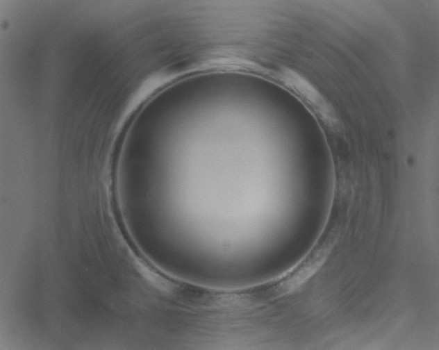 X0000051251430200506241535