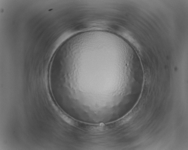 X0000051251431200506241535