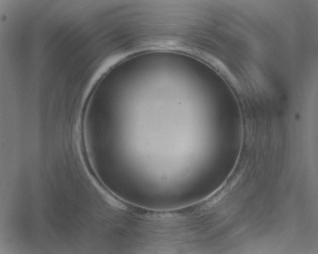 X0000051251432200506241535