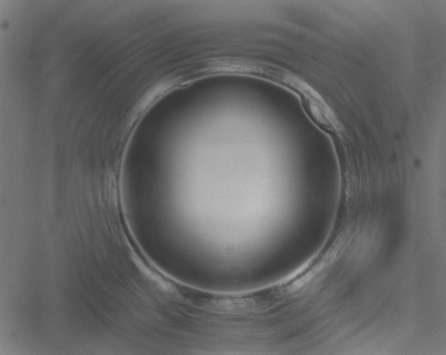 X0000051251433200506241535