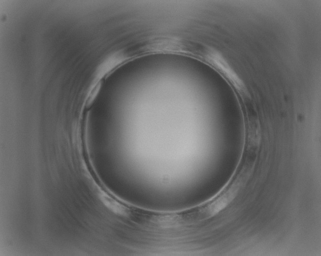 X0000051251434200506241535