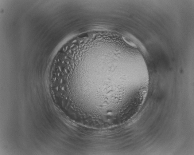 X0000051251435200506241535