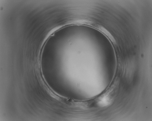 X0000051251436200506241535