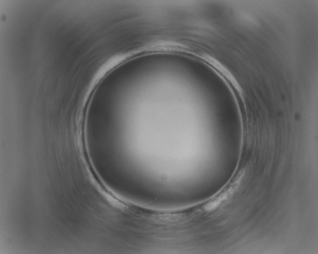 X0000051251437200506241535