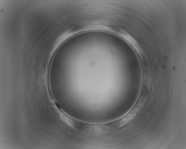 X0000051251438200506241535