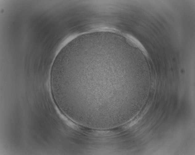 X0000051251439200506241535