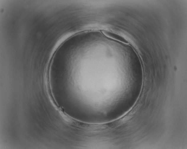 X0000051251440200506241535