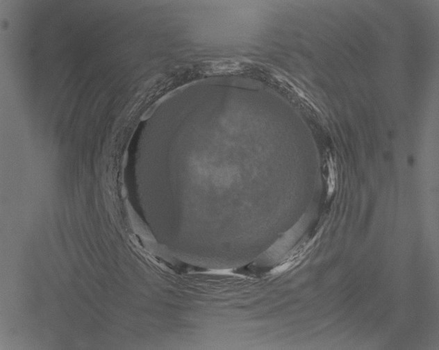 X0000051251441200506241535