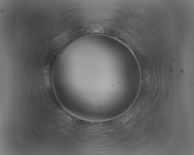 X0000051251442200506241535