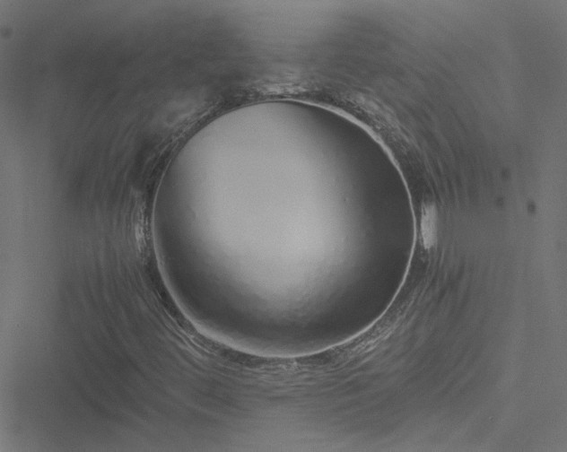 X0000051251444200506241535