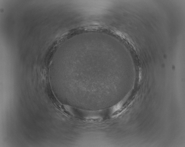 X0000051251445200506241534