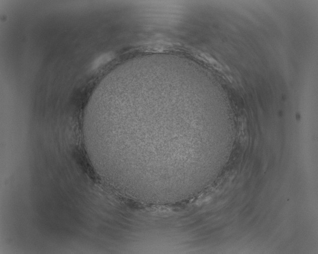 X0000051251446200506241534