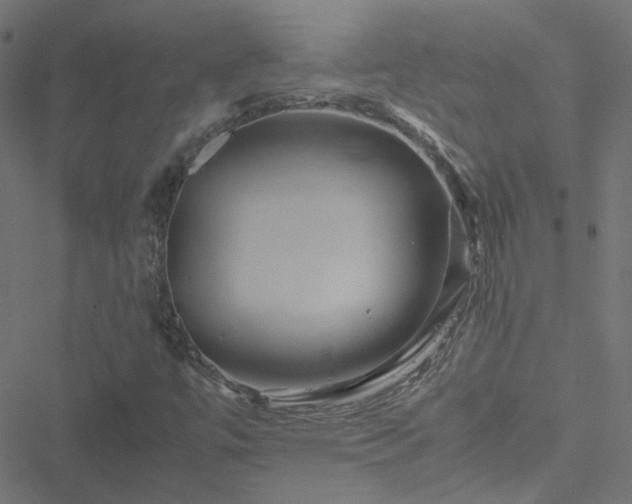 X0000051251447200506241534