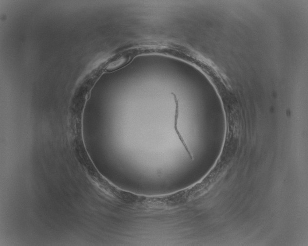 X0000051251448200506241534