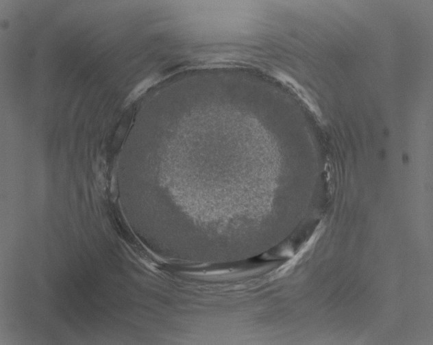 X0000051251449200506241534