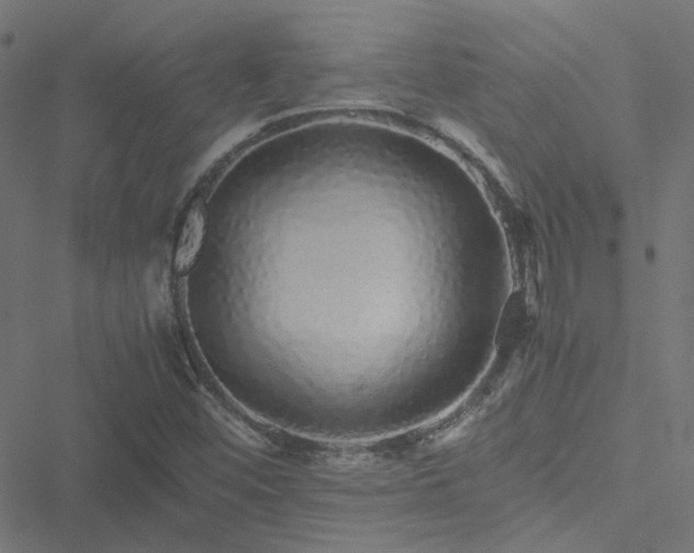 X0000051251452200506241534