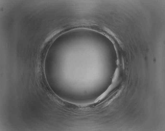 X0000051251453200506241534