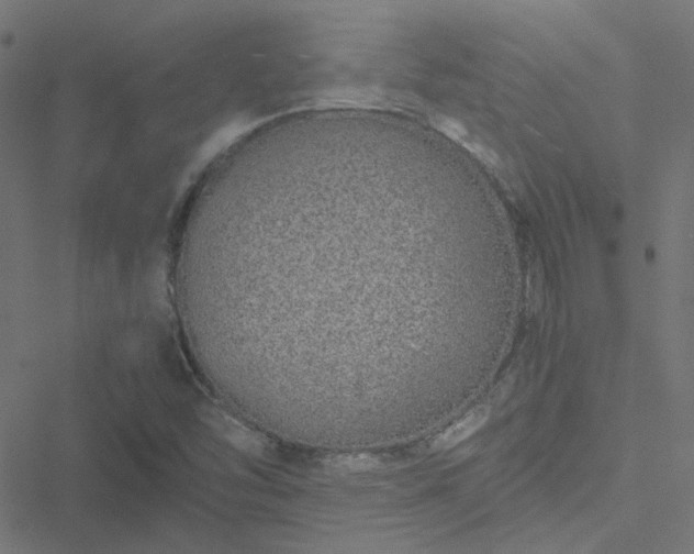 X0000051251454200506241534