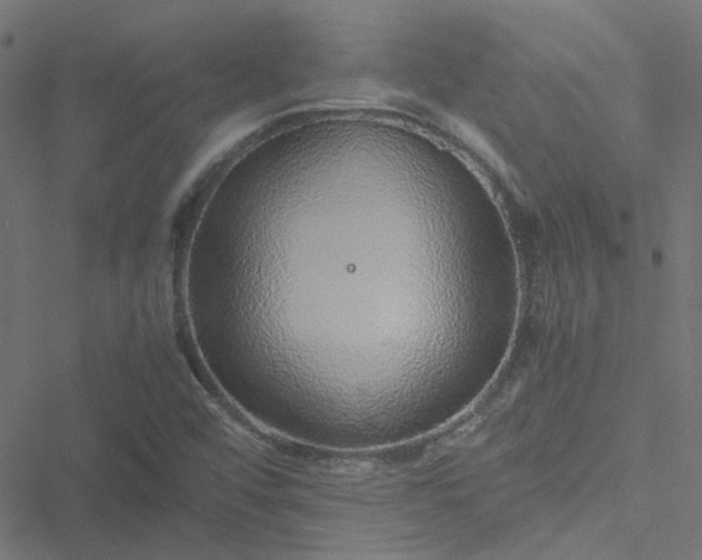 X0000051251456200506241534