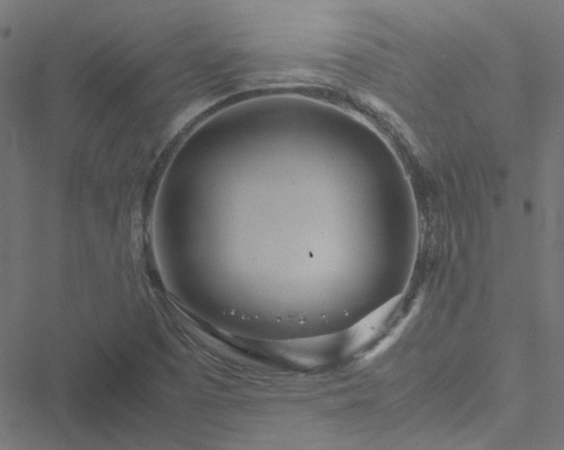 X0000051251457200506241534