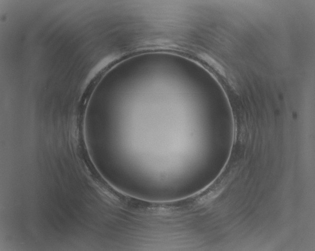 X0000051251458200506241534