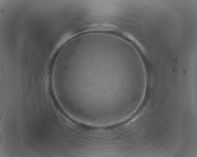 X0000051251459200506241534