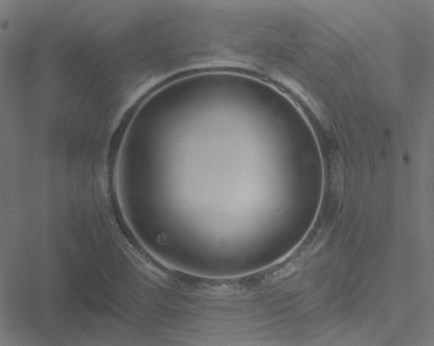 X0000051251460200506241534