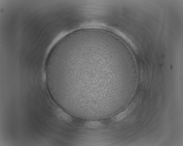 X0000051251462200506241534