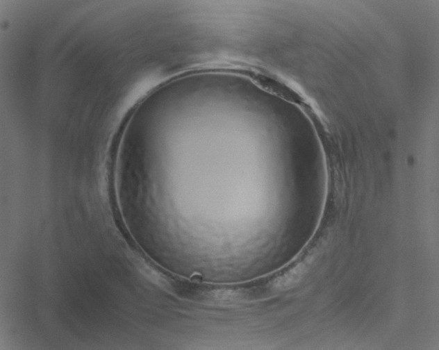 X0000051251463200506241534