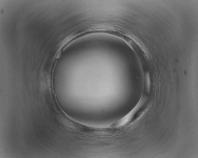 X0000051251465200506241534