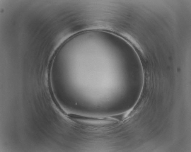 X0000051251468200506241534