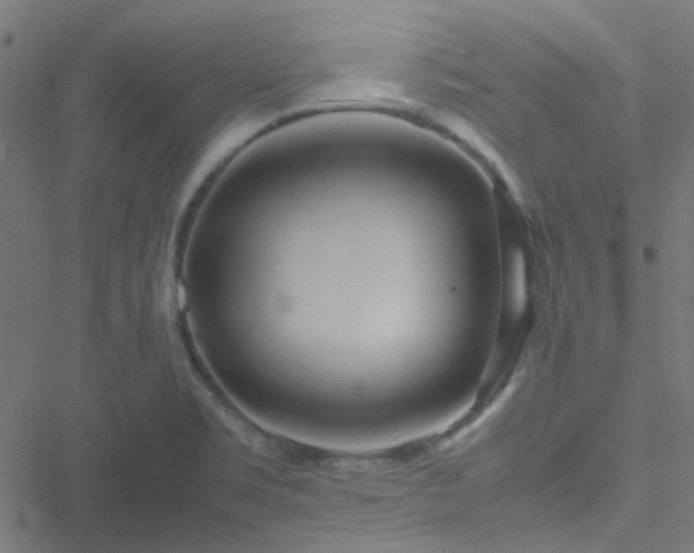 X0000051251469200506241534