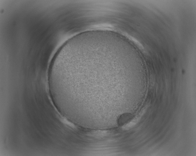 X0000051251470200506241534