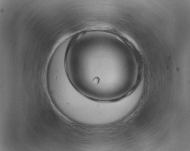 X0000051251471200506241534