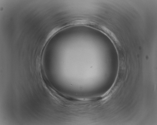 X0000051251473200506241534