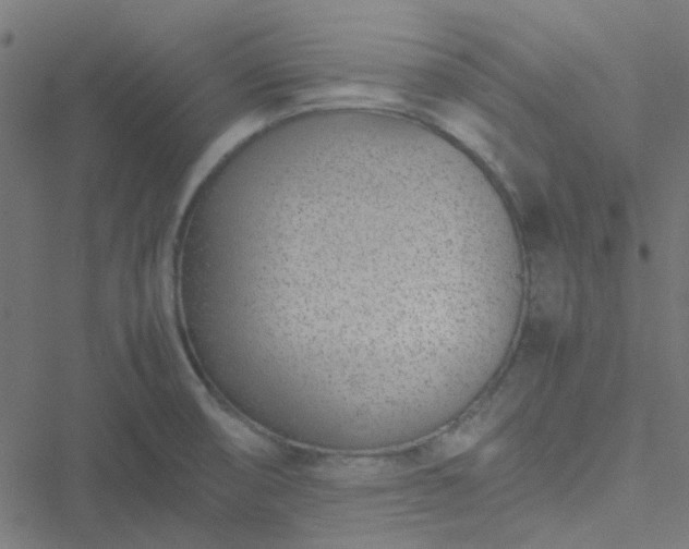 X0000051251474200506241534