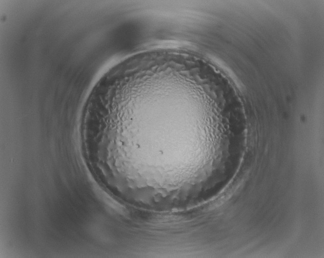 X0000051251475200506241534