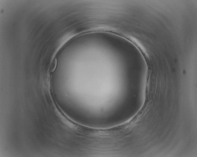 X0000051251476200506241534