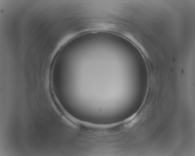 X0000051251477200506241534