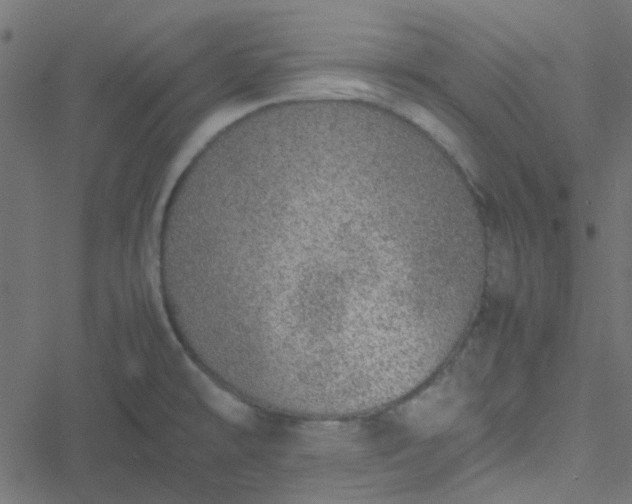 X0000051251478200506241534