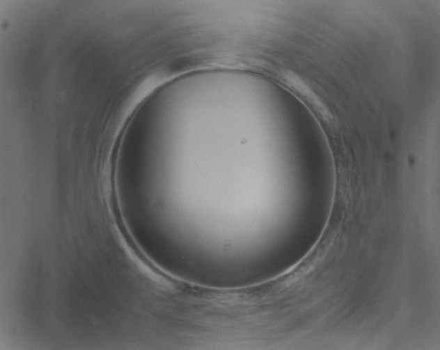 X0000051251479200506241534